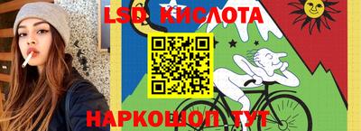стафф Новодвинск