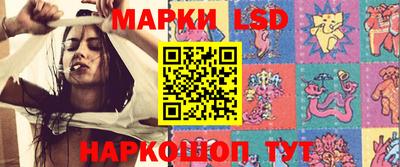 гидропоника Новозыбков