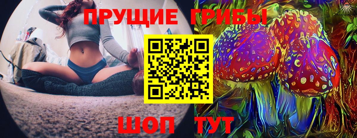Семёнов  даркнет сайт  Псилоцибиновые грибы Cubensis  Вход с VPN  Псилоцибиновые грибы прущие грибы 